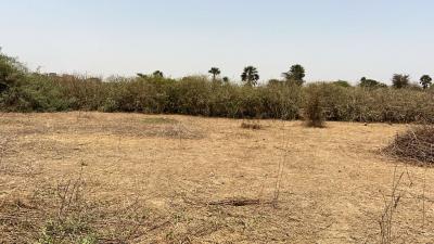 Terrains 300 mètres carrés à vendre à Saly Sé