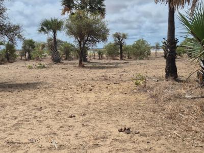 Terrain 300 mètres carrés à vendre à Ndangane 