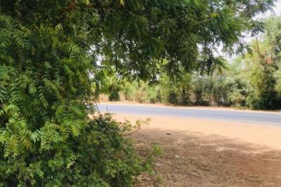 Verger Fruitier de 2,25 hectares vers Notto Diobas