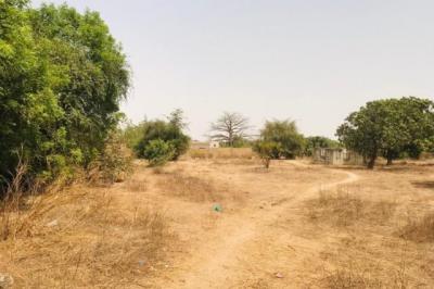 Verger Fruitier de 2,25 hectares vers Notto Diobas