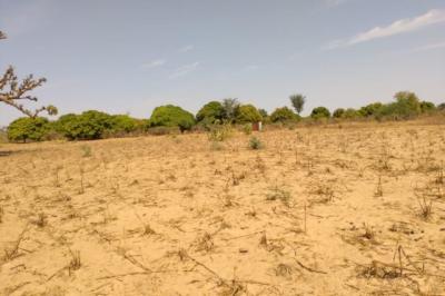 Terrain de 9942 m² vers Sandiara