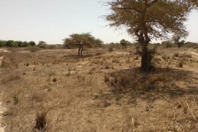 Terrain de 9889 m² vers Darou Khoudoss