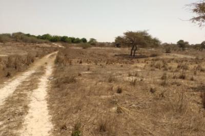 Terrain de 9889 m² vers Darou Khoudoss
