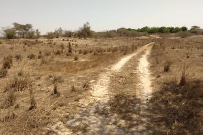 Terrain de 9889 m² vers Darou Khoudoss
