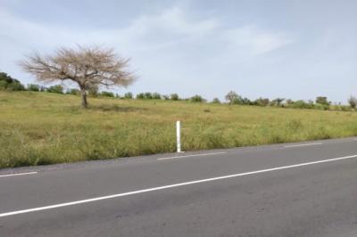 Terrain de 9869 m² vers Thieppe