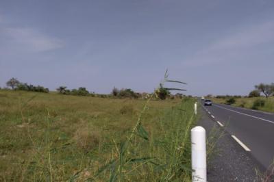 Terrain de 9869 m² vers Thieppe