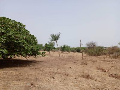 Terrain de 9815 m² vers Notto Diobass