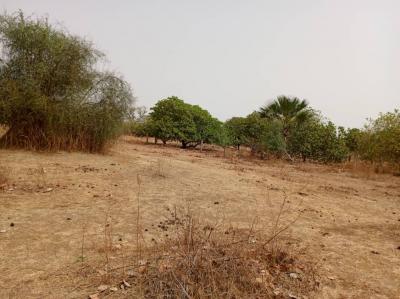 Terrain de 9815 m² vers Notto Diobass