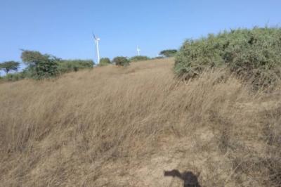 Terrain de 9706 m² vers Taïba Ndiaye