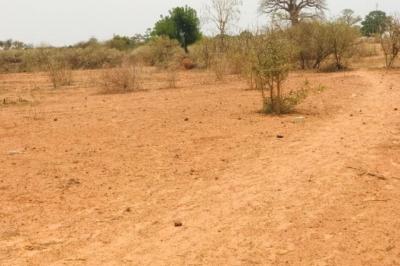 Terrain de 9061 m² vers Sindia