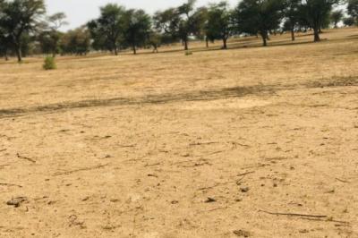 Terrain de 9070 m² vers Touba Toul