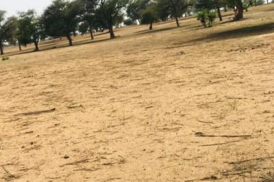 Terrain de 9070 m² vers Touba Toul