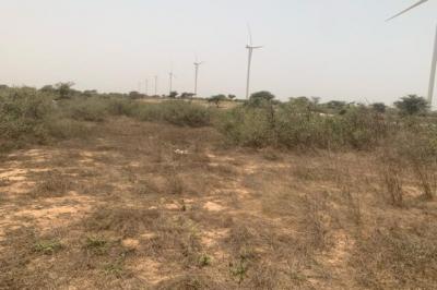 Terrain de 9276 m² vers Taiba Ndiaye