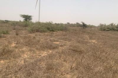 Terrain de 9276 m² vers Taiba Ndiaye