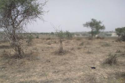 Terrain de 9,22 hectares vers Thieppe