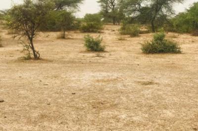 Terrain de 9,25 hectares vers Keur Samba Kane