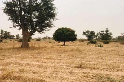 Terrain de 8771 m² vers Malicounda