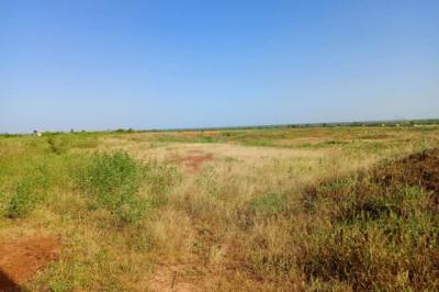 Terrain de 8779 m² vers Notto Diobass