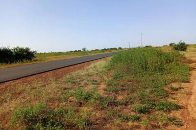 Terrain de 8779 m² vers Notto Diobass