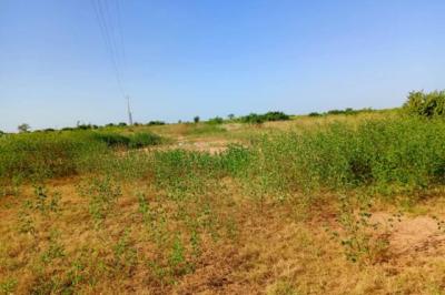 Terrain de 8779 m² vers Notto Diobass