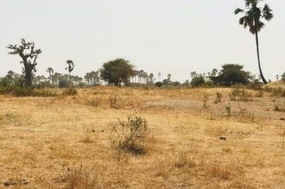 Terrain de 8997 m² vers Fimela