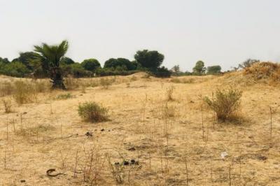 Terrain de 8997 m² vers Fimela