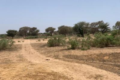 Terrain de 7842 m² vers Notto Diobass