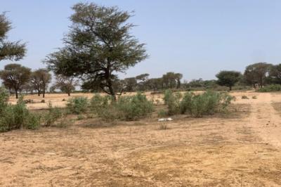 Terrain de 7842 m² vers Notto Diobass