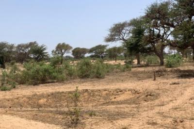 Terrain de 7842 m² vers Notto Diobass