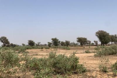 Terrain de 7842 m² vers Notto Diobass