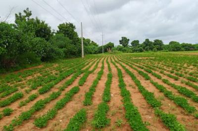 Terrain de 8555 m² vers Keur Moussa