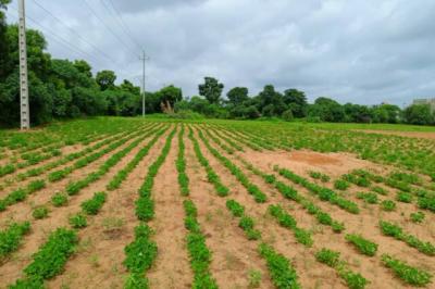 Terrain de 8555 m² vers Keur Moussa