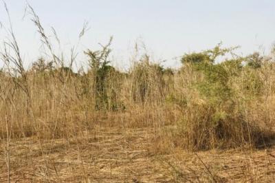 Terrain de 8472 m² vers Cherif Lô