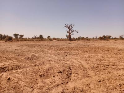 Terrain de 8377 m² vers Tassette