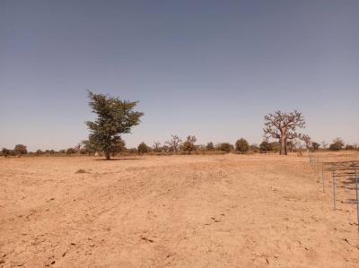 Terrain de 8377 m² vers Tassette