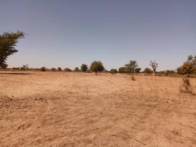 Terrain de 8377 m² vers Tassette