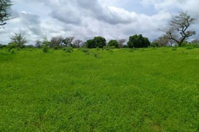 Terrain de 8579 m² vers Notto Diobass