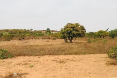 Terrain de 8761 m² vers Diass