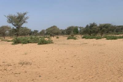 Terrain de 6 hectares vers Touba Toul