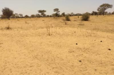 Terrain de 6,47 hectares vers Sagata
