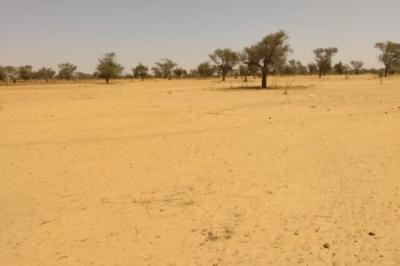 Terrain de 6,47 hectares vers Sagata