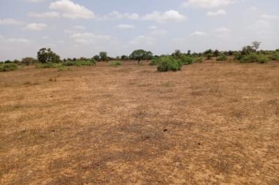 Terrain de 6,61 hectares vers Touba Toul