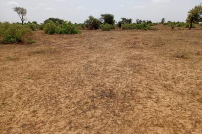 Terrain de 6,61 hectares vers Touba Toul