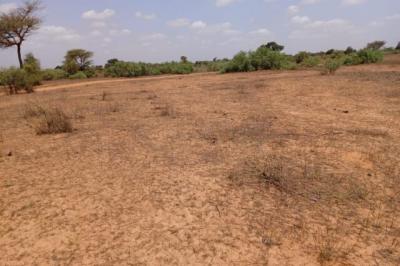 Terrain de 6,61 hectares vers Touba Toul