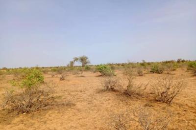 Terrain de 6,8 hectares vers Nguidila