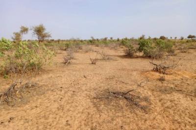 Terrain de 6,8 hectares vers Nguidila