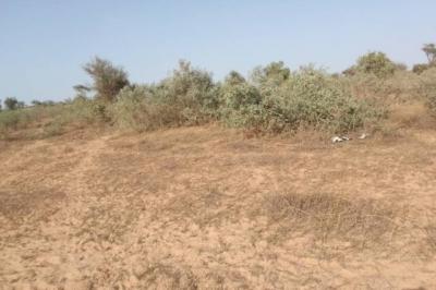 Terrain de 6112 m² vers Thiénaba