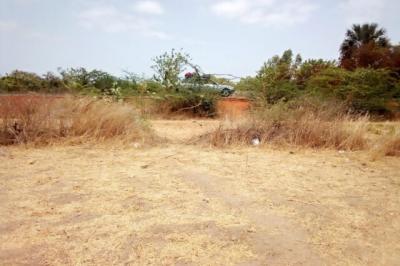 Terrain de 6500 m² vers Nguéniéne
