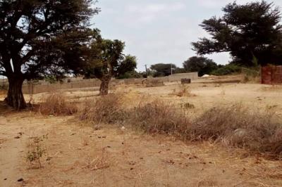 Terrain de 6500 m² vers Nguéniéne