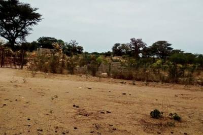 Terrain de 6500 m² vers Nguéniéne